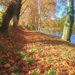 Danas sunčano i toplo, uveče naoblačenje: Temperatura do 19 stepeni