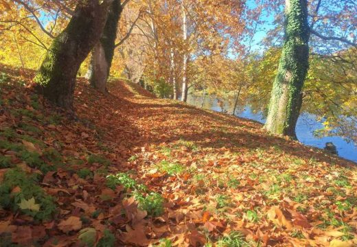 Danas sunčano i toplo, uveče naoblačenje: Temperatura do 19 stepeni