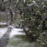 Stiže zahlađenje: Kiša, snijeg i jak sjeverac od večeras