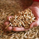 Otežana nabavka: Visoke cijene peleta i nestašica već na početku sezone