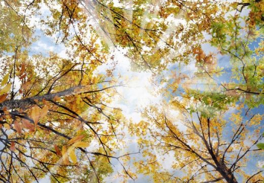 Vrmenska prognoza: Danas toplo i vjetrovito, mjestimično kiša