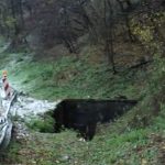 Region: Tužilaštvo se oglasilo o nesreći u kojoj su stradali Ana i Aleksandar