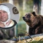 Lovac preživio napad medvjedice kod Kladnja: “Moja sreća da je puška bila puna” (Foto)