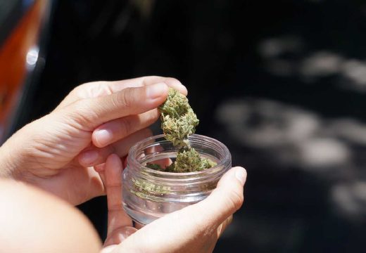 BiH: Savjet ministara BiH usvojio odluku o legalizaciji kanabisa u medicinske svrhe