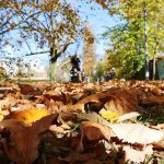 Očekuje nas lijep dan: U BiH razvedravanje uz sunčane periode