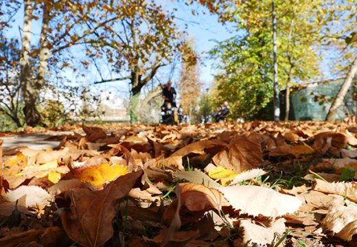 Očekuje nas lijep dan: U BiH razvedravanje uz sunčane periode
