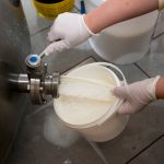 Proizvođači u Srpskoj prikupili više mlijeka nego lani: Sušare rješenje za viškove