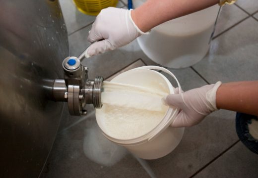 Proizvođači u Srpskoj prikupili više mlijeka nego lani: Sušare rješenje za viškove