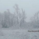 Prognoza: Zime ni na vidiku u narednih 15 dana