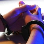 Razbijena kriminalna grupa u komšiluku: Oštetili budžet za preko tri miliona evra