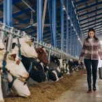 Arsenić upozorava: Podrška mljekarima ključna za opstanak