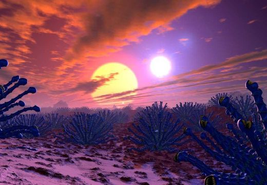 Zanimljivosti: Stiže najkraći dan u godini