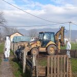 BiH: Eutanazirano cijelo stado ovaca zbog bruceloze