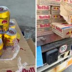 BiH: Zaplijenjeno skoro 70.000 falsifikovanih limenki Red bula namijenjenog nama