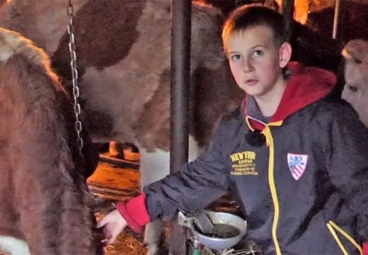 Odrastanje uz krave: Dječak koji ne traži ništa moderno (Video)