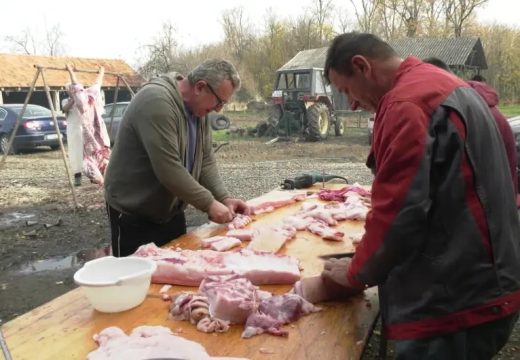 Zakon pun nelogičnosti: Ako komšije i rodbina dolaze da pomognu, moraju biti prijavljeni u Poreskoj