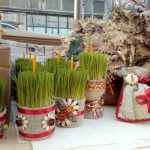 Uživajte u obilju i sreći: Evo kada je pravo vrijeme da posadite božićnu pšenicu