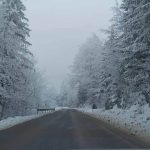 Snijeg lomio stabla u Hrvatskoj: Više od 24.000 kuća katolički Božić dočekalo bez struje