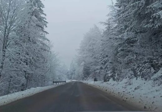 Snijeg lomio stabla u Hrvatskoj: Više od 24.000 kuća katolički Božić dočekalo bez struje