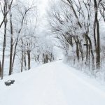 Snažni arktički talas stiže u Evropu: Očekuje se i do pola metra snijega