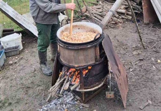 Novi zakon: Od sljedeće godine ni na krmokolj bez plaćanja doprinosa