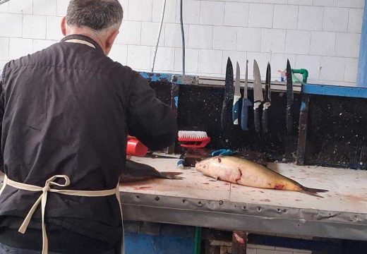 U vrijeme Božićnog posta:  Ribarnice dobro snabdjevene riječnom i morskom ribom