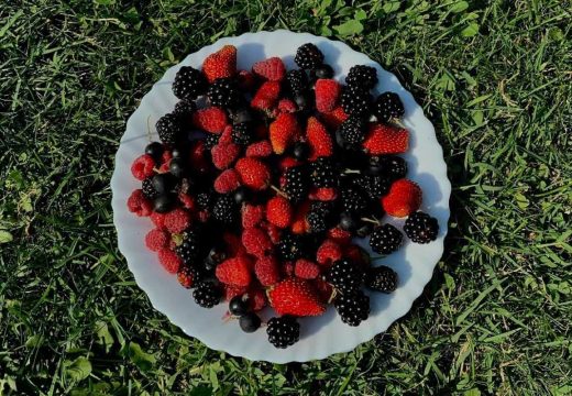 Zdravlje: Top namirnice koje obiluju vitaminom C